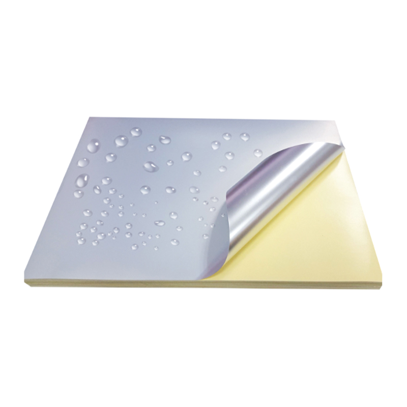 Film PET argent mat 50um avec doublure en silicone jaune