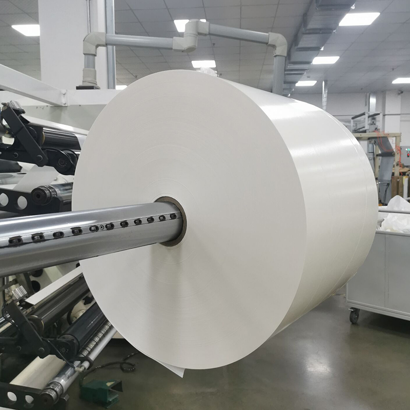 Adhésif PET blanc brillant 25um/solvant acrylique/doublure blanche 80g