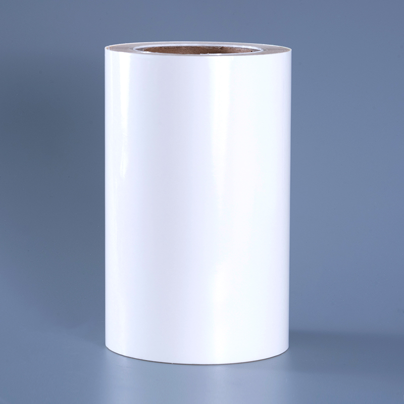 Film transparent d'ANIMAL FAMILIER 25mic avec les labels clairs adhésifs démontables de polyester