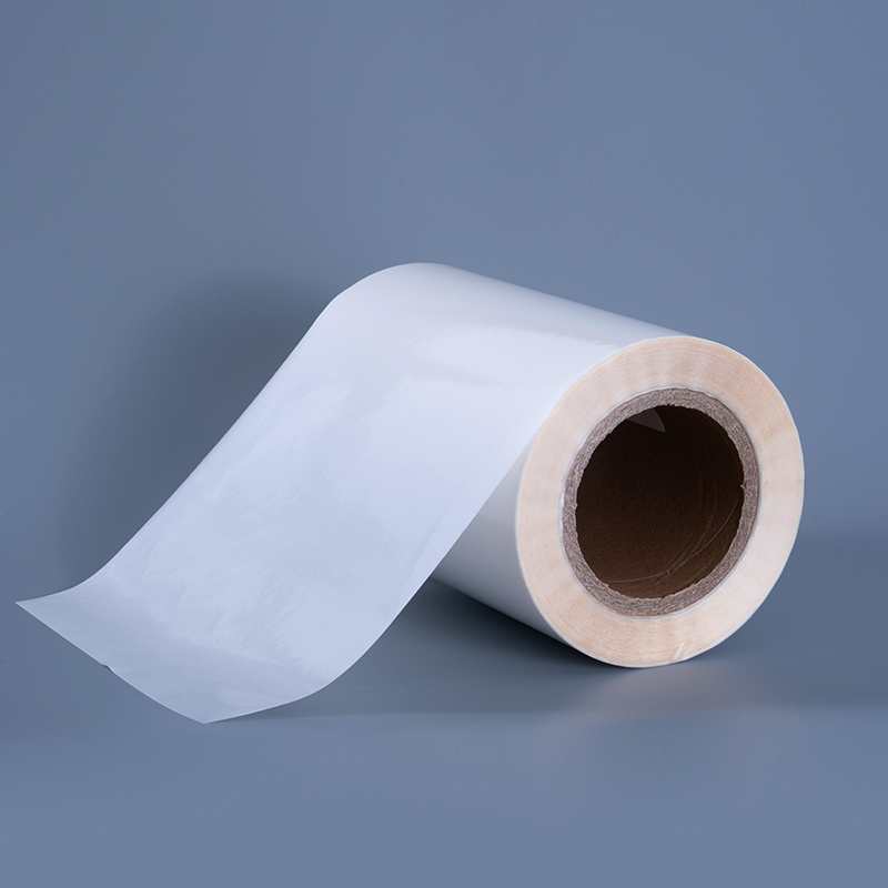 Film transparent d'ANIMAL FAMILIER 25mic avec les labels clairs adhésifs démontables de polyester