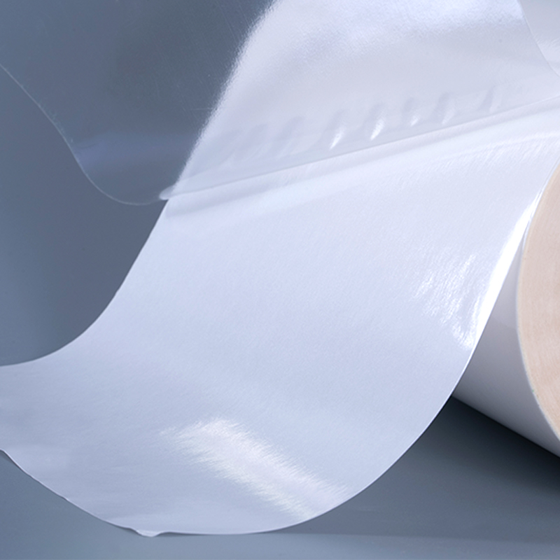 Rouleau géant d'étiquette d'impression d'autocollant de vinyle de film de polyester auto-adhésif transparent 50mic